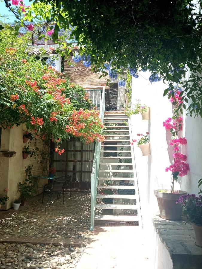 Patio Del Limonero Apartment กอร์โดบา ภายนอก รูปภาพ