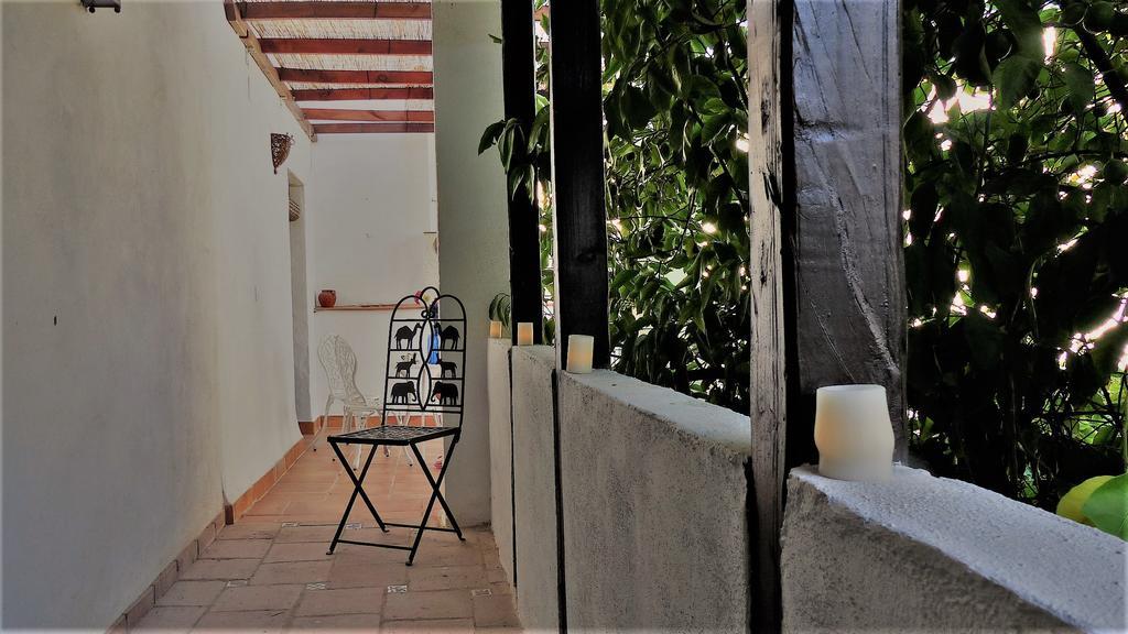 Patio Del Limonero Apartment กอร์โดบา ภายนอก รูปภาพ