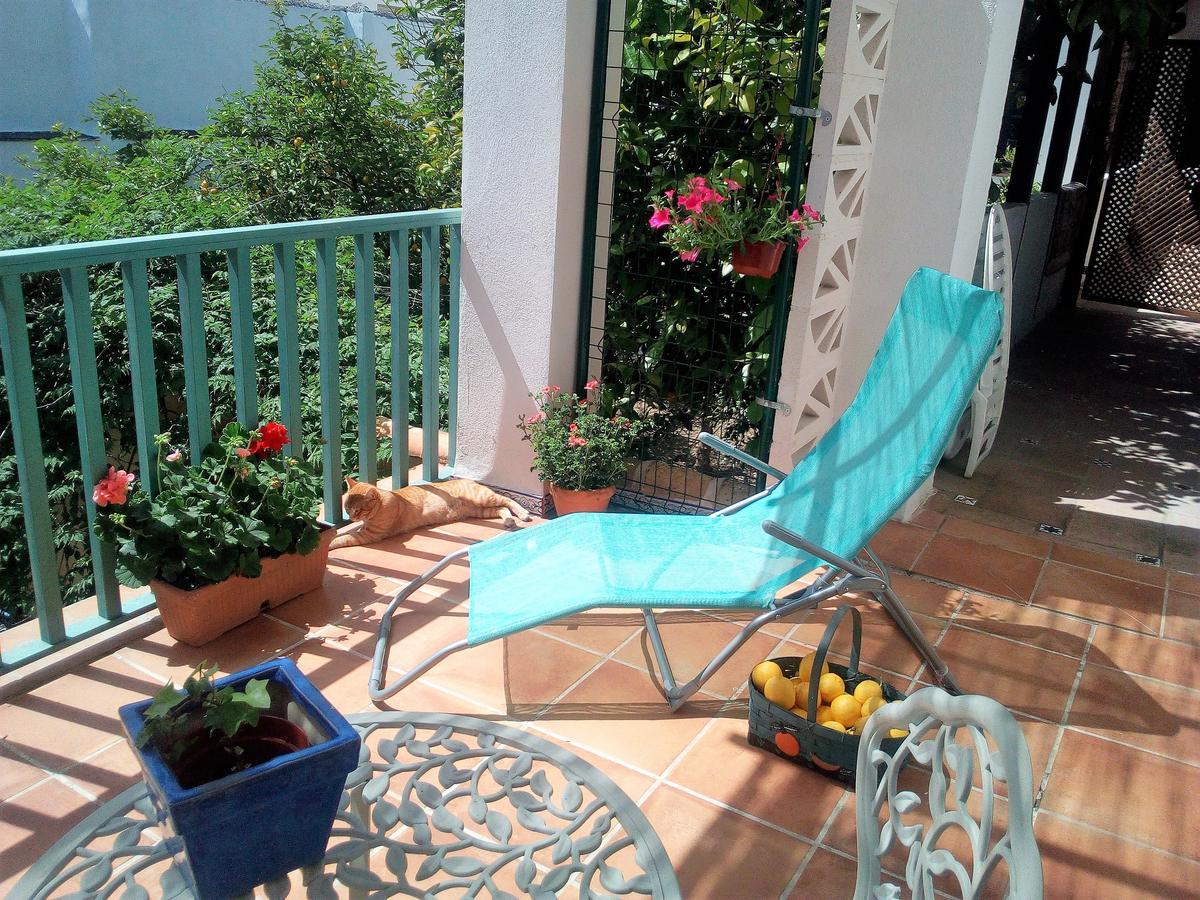 Patio Del Limonero Apartment กอร์โดบา ภายนอก รูปภาพ